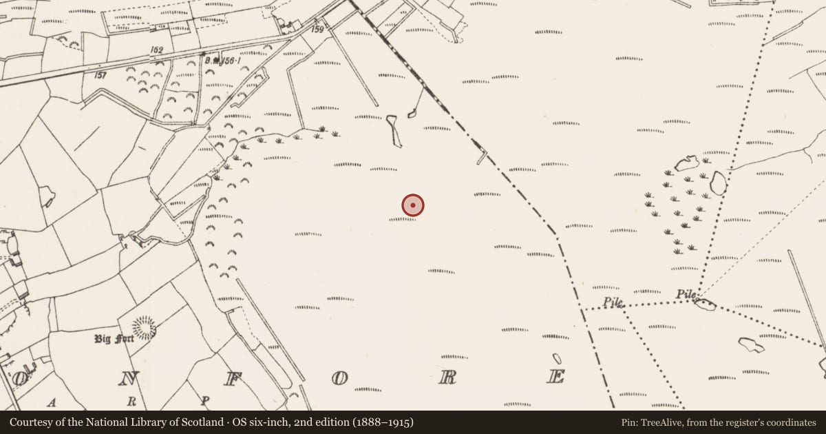Ordnance Survey six-inch map, 2nd edition (1888–1915) covering the location of Road - class 3 togher, Cloonfore, County Longford, with a pin at the register's coordinates