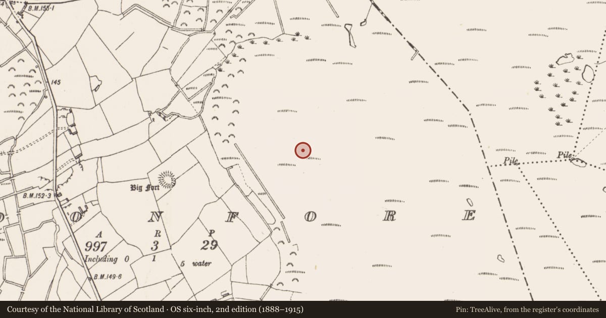 Ordnance Survey six-inch map, 2nd edition (1888–1915) covering the location of Road - class 2 togher, Cloonfore, County Longford, with a pin at the register's coordinates