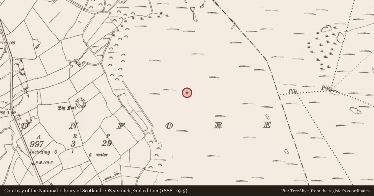 Ordnance Survey six-inch map, 2nd edition (1888–1915) covering the location of Road - class 2 togher, Cloonfore, County Longford, with a pin at the register's coordinates