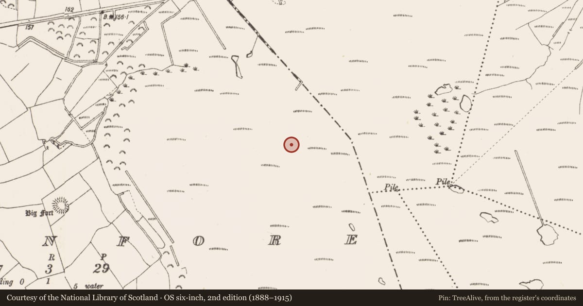 Ordnance Survey six-inch map, 2nd edition (1888–1915) covering the location of Road - class 3 togher, Cloonfore, County Longford, with a pin at the register's coordinates