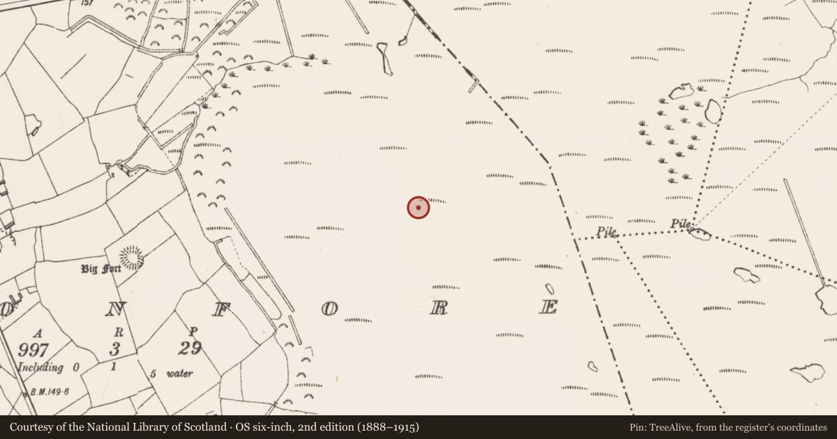 Ordnance Survey six-inch map, 2nd edition (1888–1915) covering the location of Road - class 3 togher, Cloonfore, County Longford, with a pin at the register's coordinates