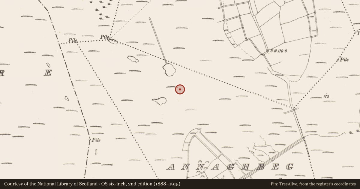 Ordnance Survey six-inch map, 2nd edition (1888–1915) covering the location of Road - class 3 togher, Annaghbeg, County Longford, with a pin at the register's coordinates