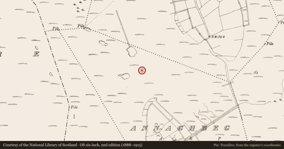 Ordnance Survey six-inch map, 2nd edition (1888–1915) covering the location of Road - class 3 togher, Annaghbeg, County Longford, with a pin at the register's coordinates