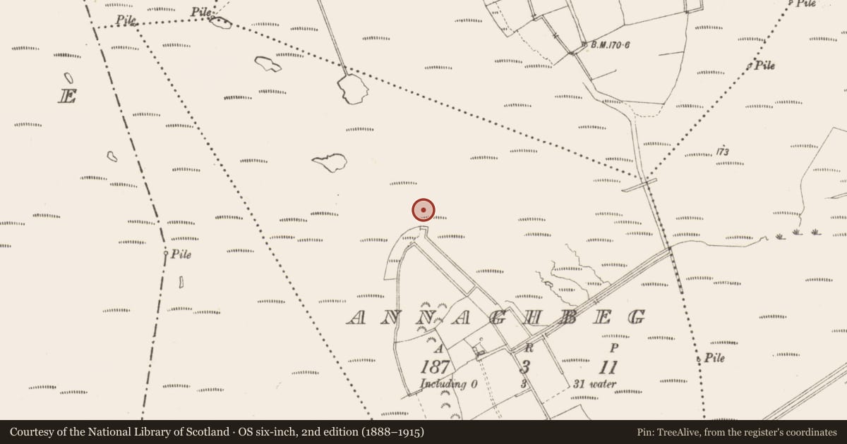 Ordnance Survey six-inch map, 2nd edition (1888–1915) covering the location of Road - class 3 togher, Annaghbeg, County Longford, with a pin at the register's coordinates