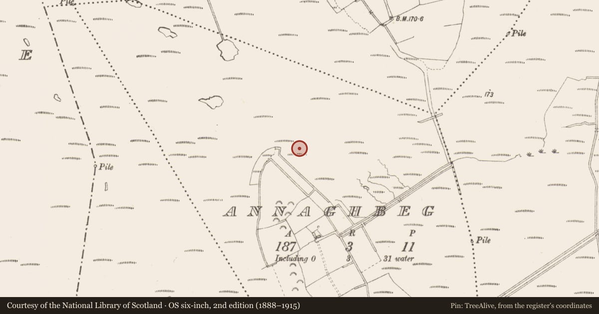Ordnance Survey six-inch map, 2nd edition (1888–1915) covering the location of Road - class 3 togher, Annaghbeg, County Longford, with a pin at the register's coordinates
