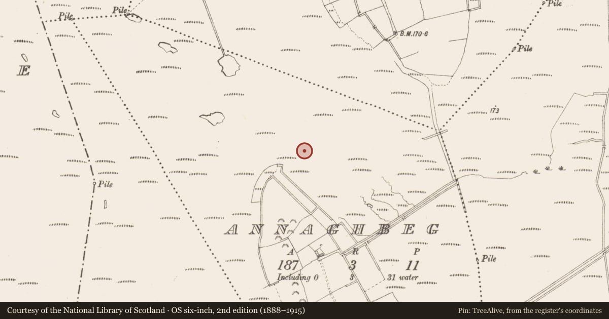Ordnance Survey six-inch map, 2nd edition (1888–1915) covering the location of Road - class 3 togher, Annaghbeg, County Longford, with a pin at the register's coordinates