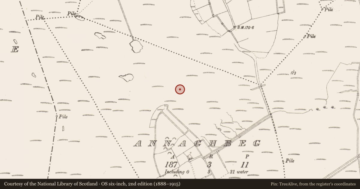 Ordnance Survey six-inch map, 2nd edition (1888–1915) covering the location of Road - class 3 togher, Annaghbeg, County Longford, with a pin at the register's coordinates