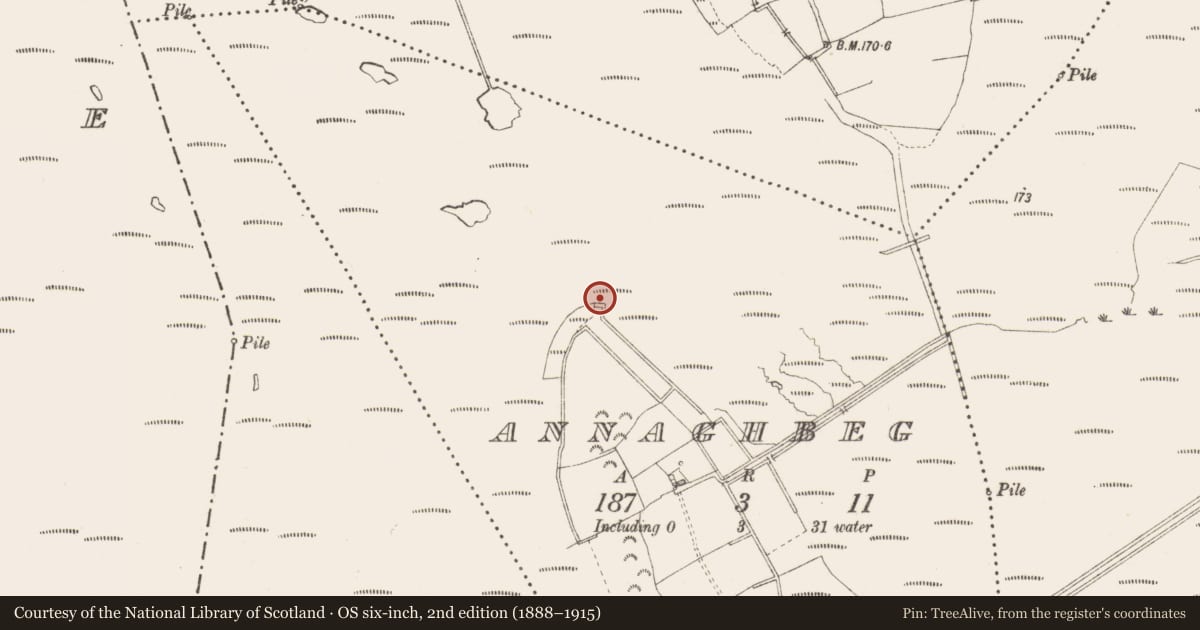 Ordnance Survey six-inch map, 2nd edition (1888–1915) covering the location of Road - class 2 togher, Annaghbeg, County Longford, with a pin at the register's coordinates