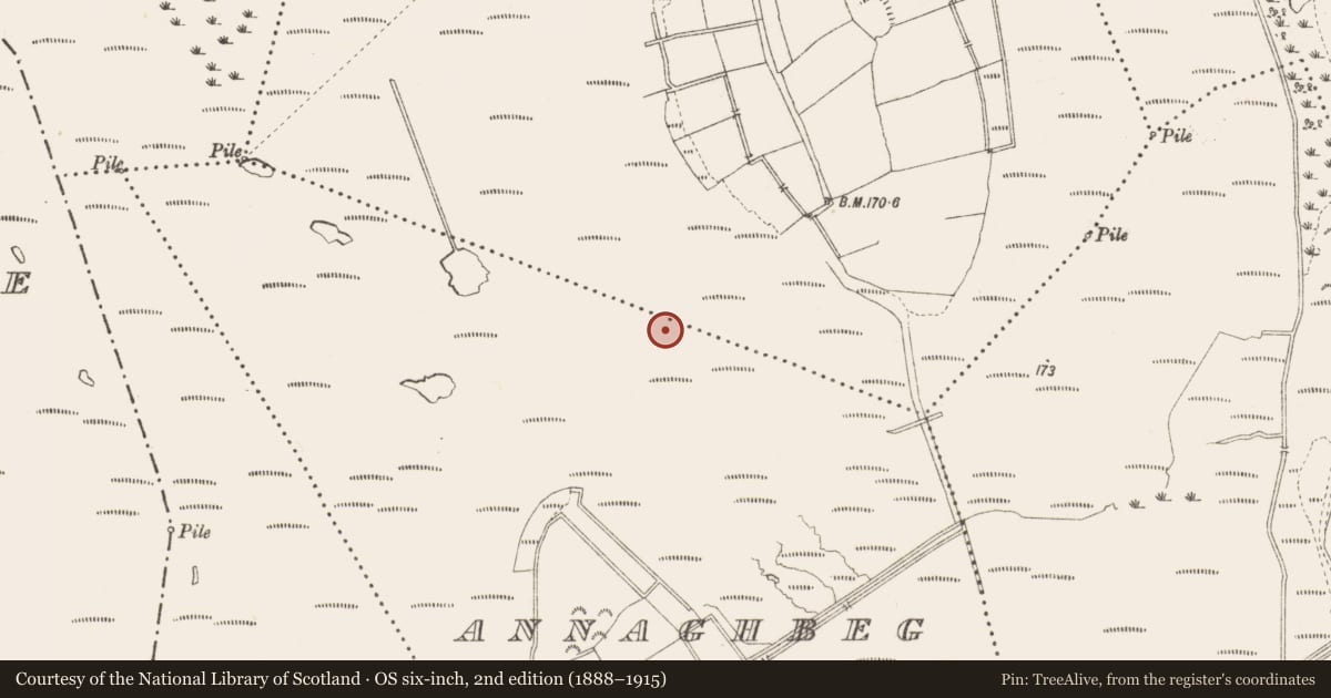 Ordnance Survey six-inch map, 2nd edition (1888–1915) covering the location of Road - class 3 togher, Cloonfiugh, County Longford, with a pin at the register's coordinates