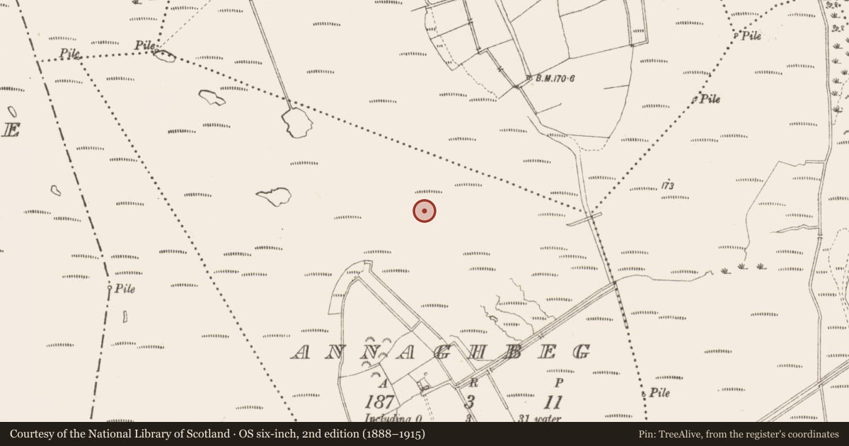 Ordnance Survey six-inch map, 2nd edition (1888–1915) covering the location of Road - class 3 togher, Annaghbeg, County Longford, with a pin at the register's coordinates
