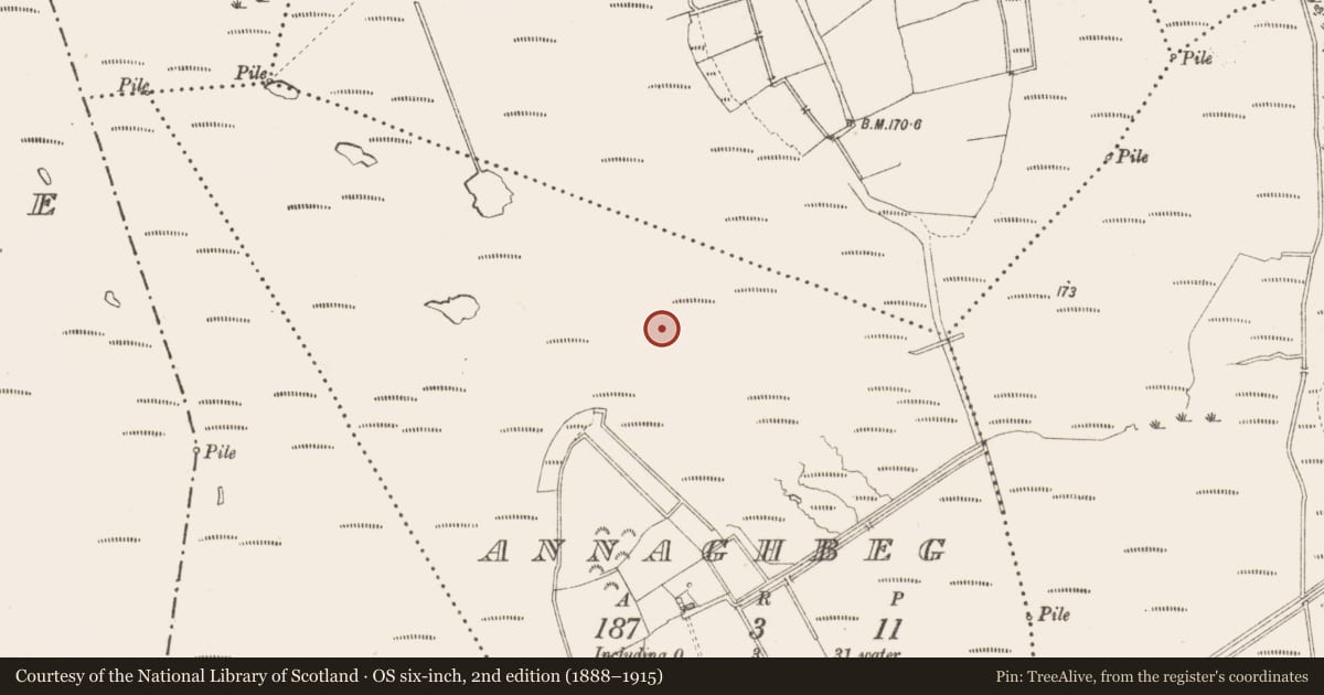 Ordnance Survey six-inch map, 2nd edition (1888–1915) covering the location of Road - class 3 togher, Annaghbeg, County Longford, with a pin at the register's coordinates