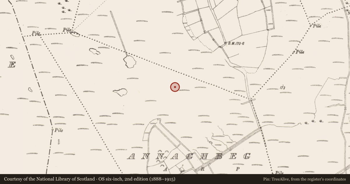 Ordnance Survey six-inch map, 2nd edition (1888–1915) covering the location of Road - class 3 togher, Annaghbeg, County Longford, with a pin at the register's coordinates