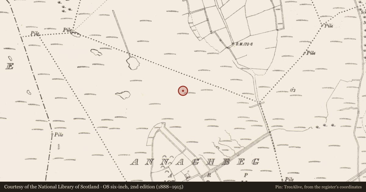 Ordnance Survey six-inch map, 2nd edition (1888–1915) covering the location of Road - class 3 togher, Annaghbeg, County Longford, with a pin at the register's coordinates