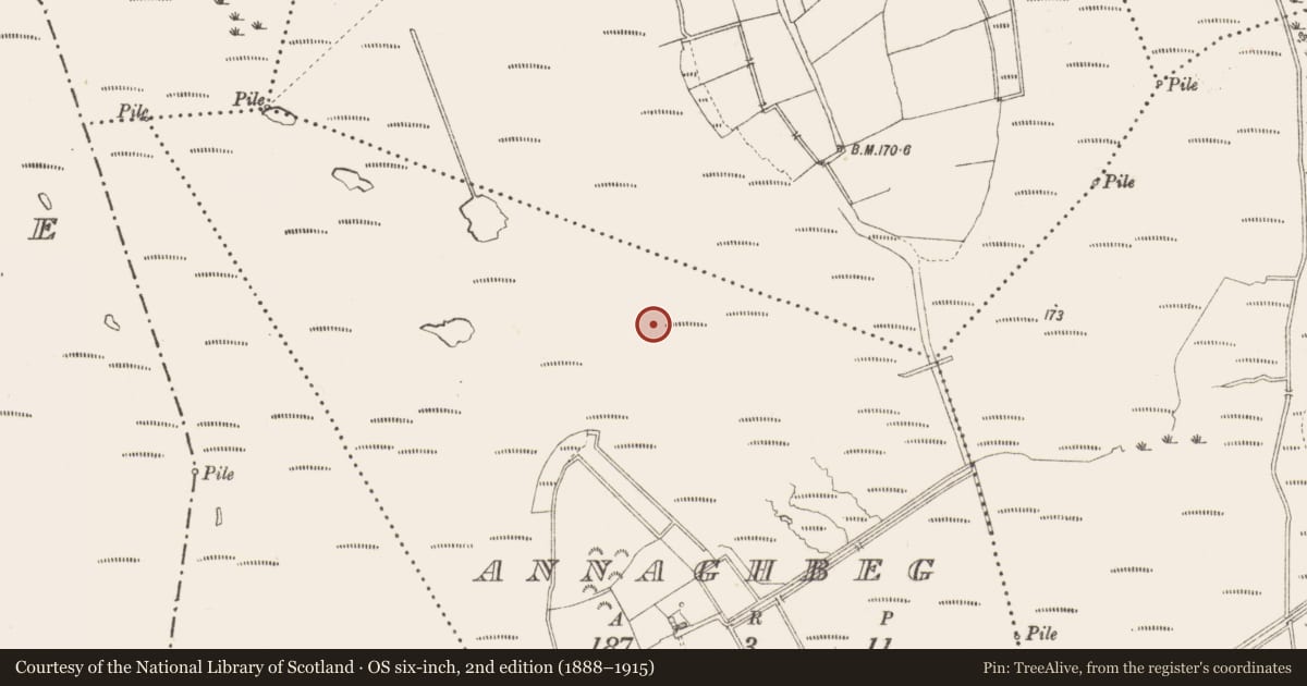 Ordnance Survey six-inch map, 2nd edition (1888–1915) covering the location of Road - class 3 togher, Annaghbeg, County Longford, with a pin at the register's coordinates