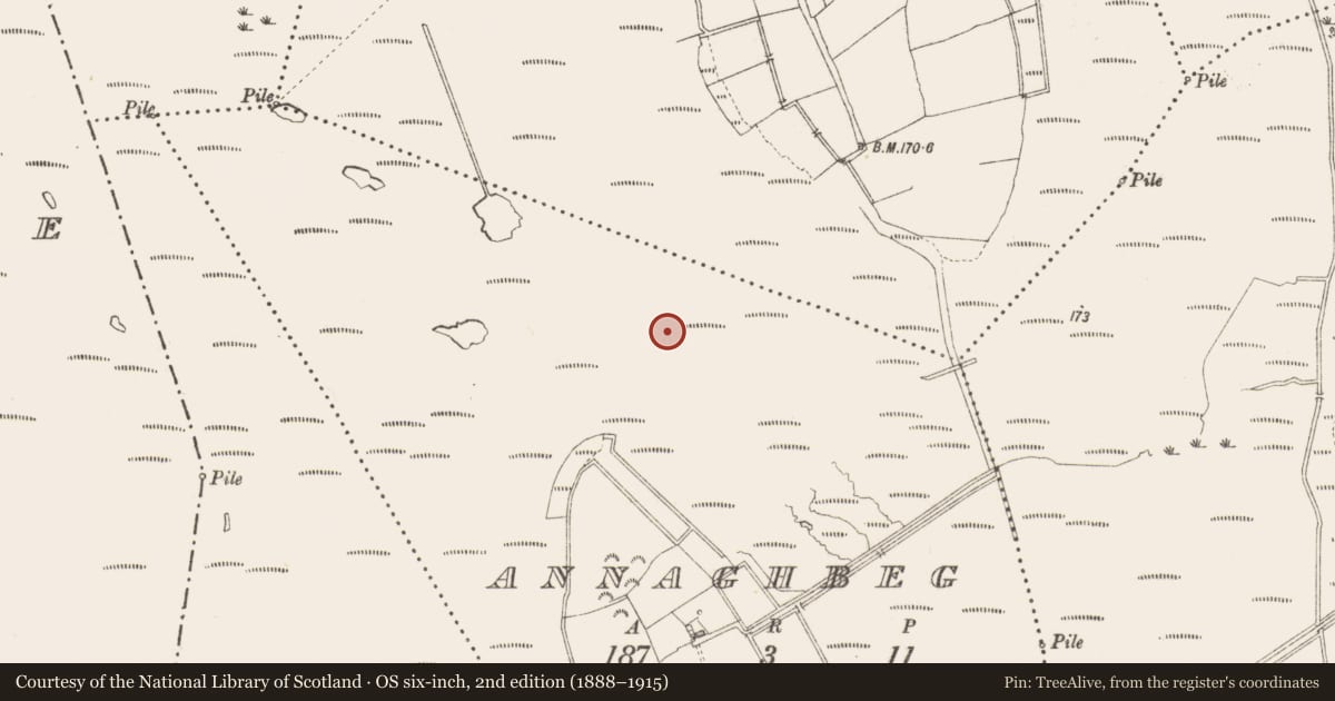Ordnance Survey six-inch map, 2nd edition (1888–1915) covering the location of Road - class 3 togher, Annaghbeg, County Longford, with a pin at the register's coordinates