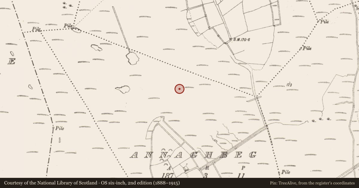 Ordnance Survey six-inch map, 2nd edition (1888–1915) covering the location of Road - class 3 togher, Annaghbeg, County Longford, with a pin at the register's coordinates