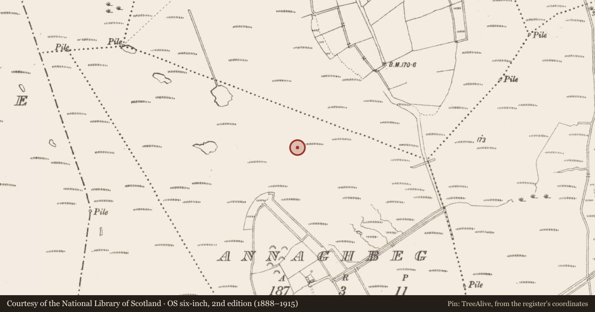 Ordnance Survey six-inch map, 2nd edition (1888–1915) covering the location of Road - class 3 togher, Annaghbeg, County Longford, with a pin at the register's coordinates