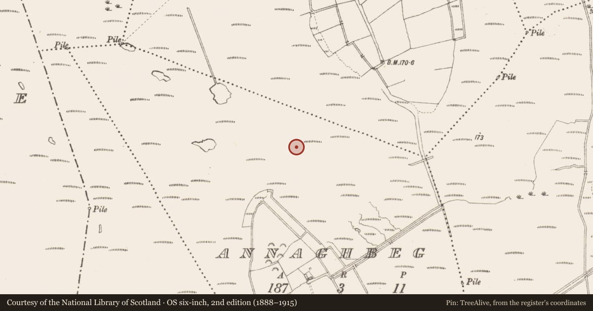 Ordnance Survey six-inch map, 2nd edition (1888–1915) covering the location of Road - class 3 togher, Annaghbeg, County Longford, with a pin at the register's coordinates