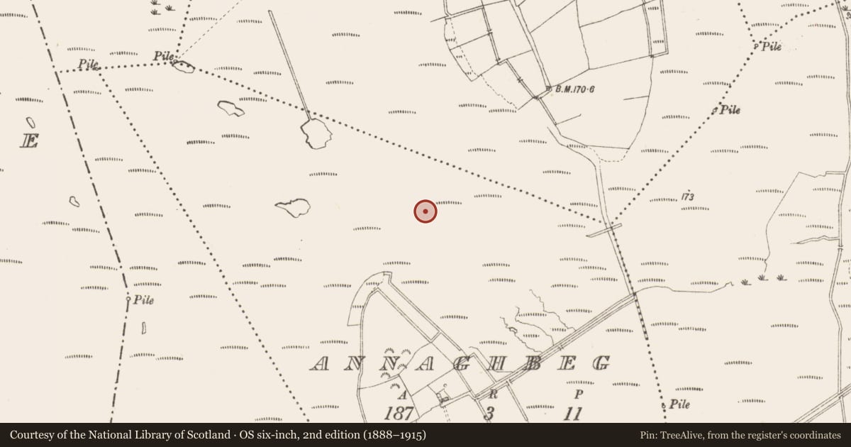 Ordnance Survey six-inch map, 2nd edition (1888–1915) covering the location of Structure - peatland, Annaghbeg, County Longford, with a pin at the register's coordinates