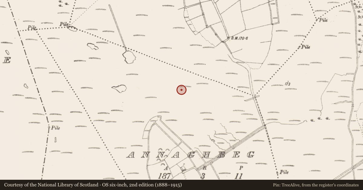 Ordnance Survey six-inch map, 2nd edition (1888–1915) covering the location of Road - class 3 togher, Annaghbeg, County Longford, with a pin at the register's coordinates