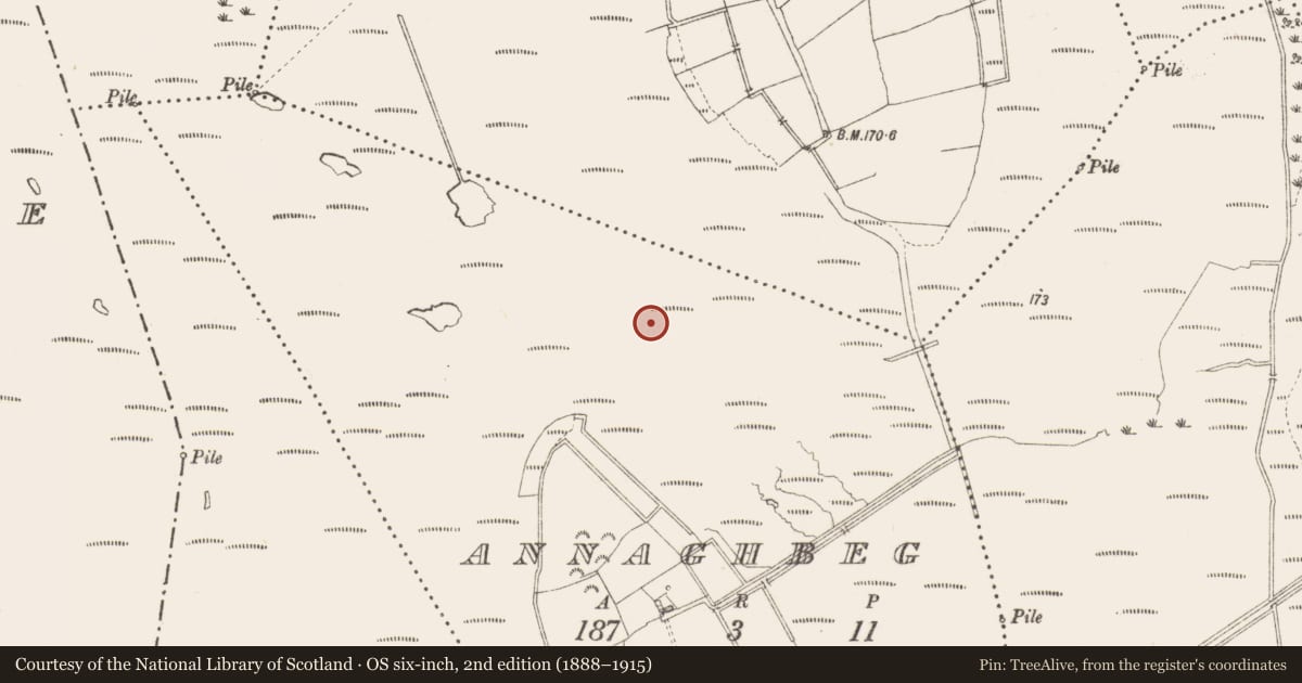 Ordnance Survey six-inch map, 2nd edition (1888–1915) covering the location of Structure - peatland, Annaghbeg, County Longford, with a pin at the register's coordinates