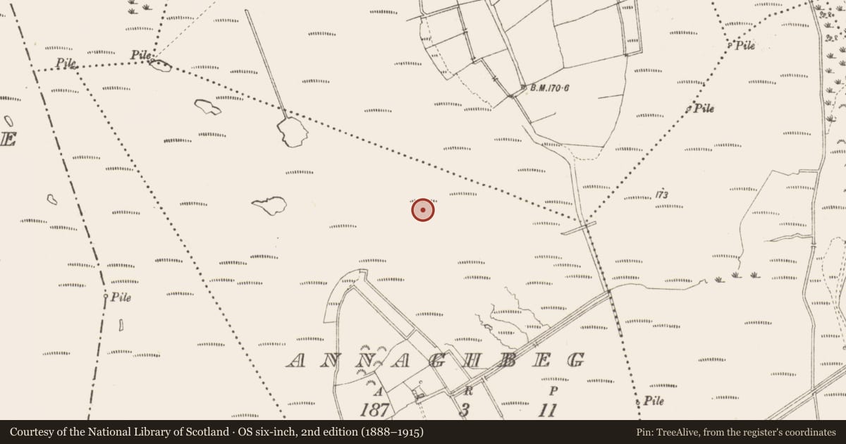 Ordnance Survey six-inch map, 2nd edition (1888–1915) covering the location of Road - class 3 togher, Annaghbeg, County Longford, with a pin at the register's coordinates