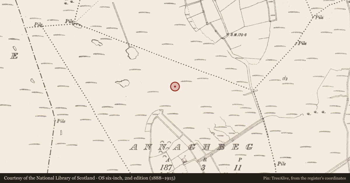 Ordnance Survey six-inch map, 2nd edition (1888–1915) covering the location of Structure - peatland, Annaghbeg, County Longford, with a pin at the register's coordinates