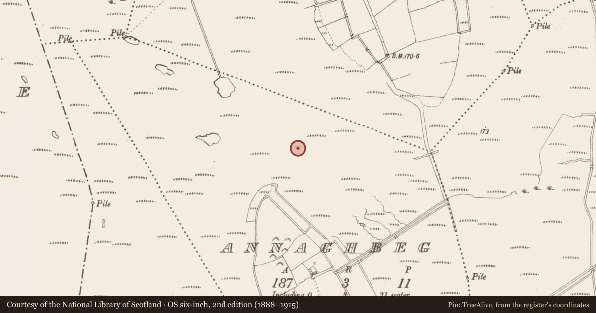 Ordnance Survey six-inch map, 2nd edition (1888–1915) covering the location of Structure - peatland, Annaghbeg, County Longford, with a pin at the register's coordinates