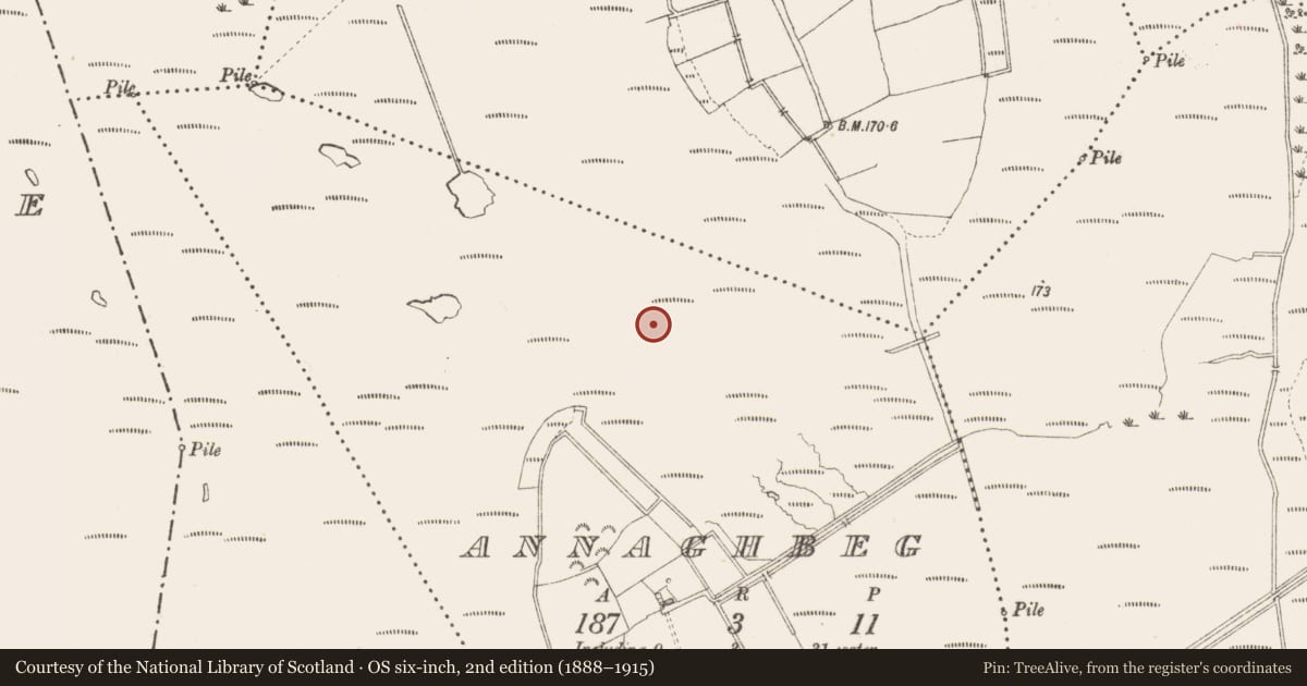 Ordnance Survey six-inch map, 2nd edition (1888–1915) covering the location of Road - class 3 togher, Annaghbeg, County Longford, with a pin at the register's coordinates