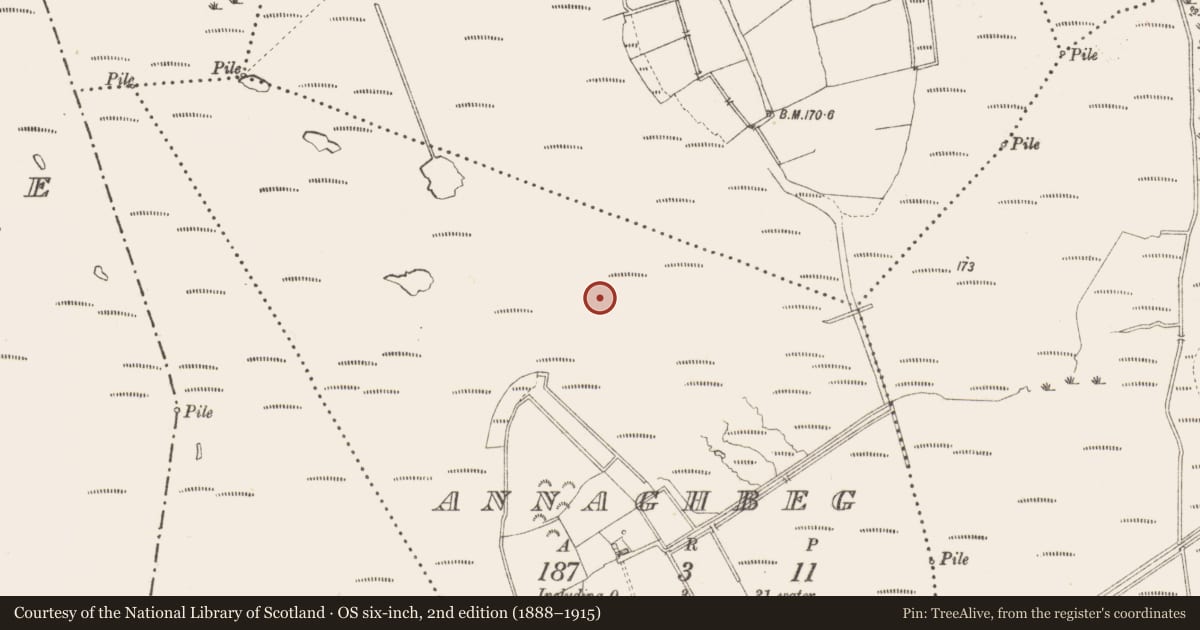 Ordnance Survey six-inch map, 2nd edition (1888–1915) covering the location of Structure - peatland, Annaghbeg, County Longford, with a pin at the register's coordinates