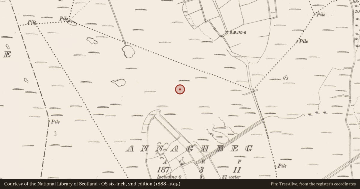 Ordnance Survey six-inch map, 2nd edition (1888–1915) covering the location of Structure - peatland, Annaghbeg, County Longford, with a pin at the register's coordinates