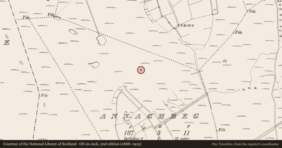 Ordnance Survey six-inch map, 2nd edition (1888–1915) covering the location of Road - class 3 togher, Annaghbeg, County Longford, with a pin at the register's coordinates
