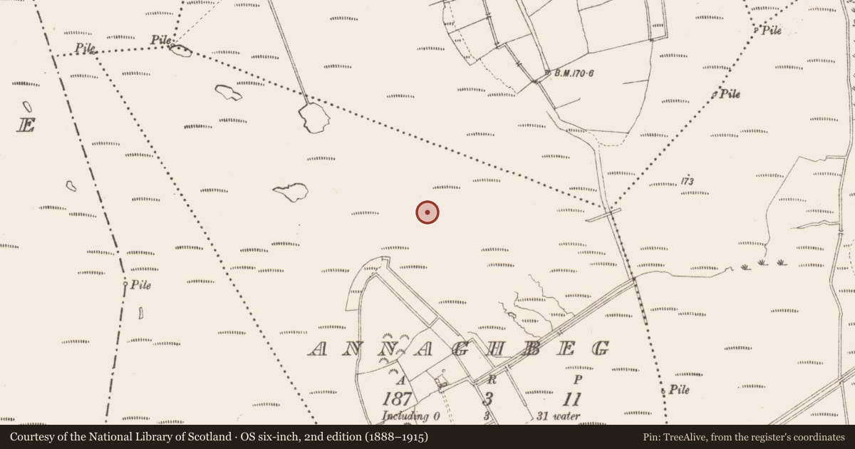 Ordnance Survey six-inch map, 2nd edition (1888–1915) covering the location of Road - class 3 togher, Annaghbeg, County Longford, with a pin at the register's coordinates