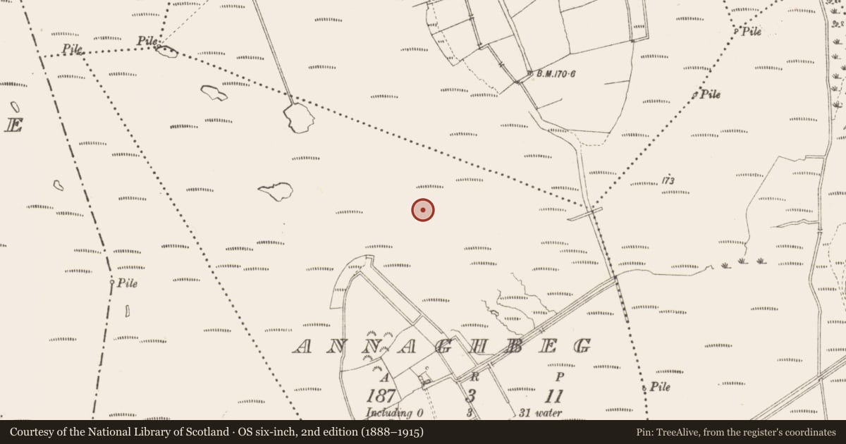 Ordnance Survey six-inch map, 2nd edition (1888–1915) covering the location of Road - class 3 togher, Annaghbeg, County Longford, with a pin at the register's coordinates