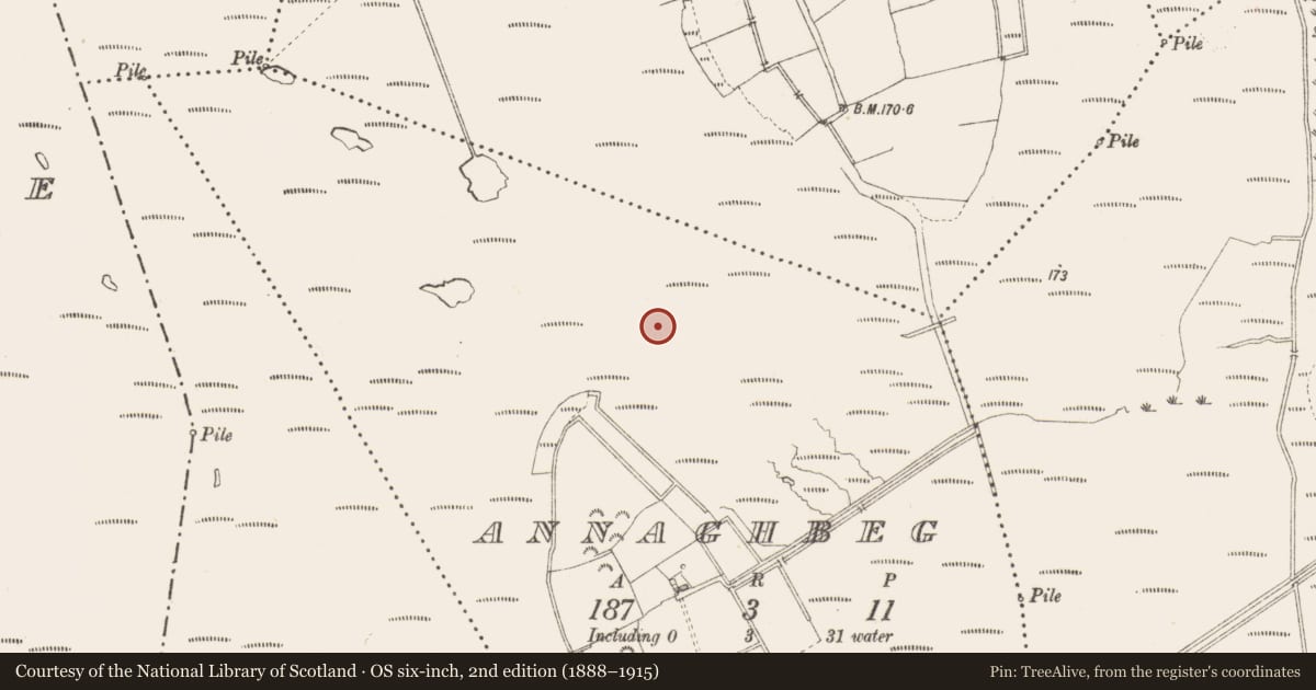 Ordnance Survey six-inch map, 2nd edition (1888–1915) covering the location of Structure - peatland, Annaghbeg, County Longford, with a pin at the register's coordinates