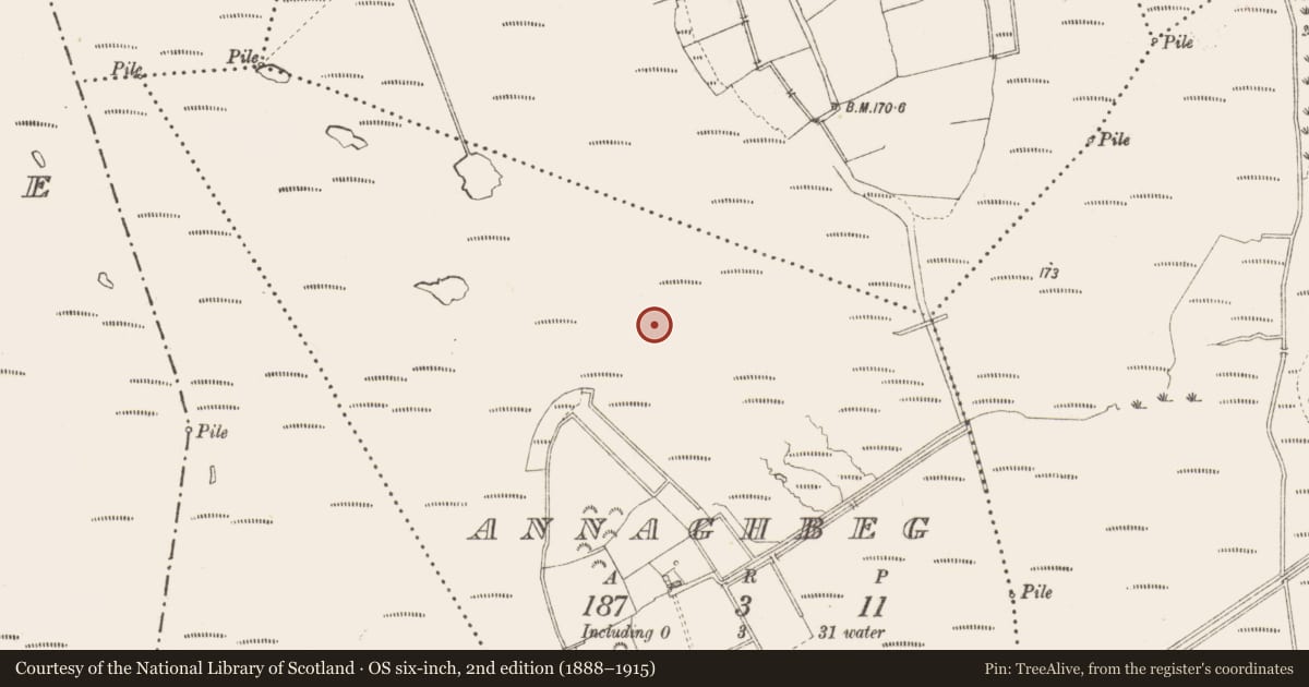 Ordnance Survey six-inch map, 2nd edition (1888–1915) covering the location of Road - class 3 togher, Annaghbeg, County Longford, with a pin at the register's coordinates