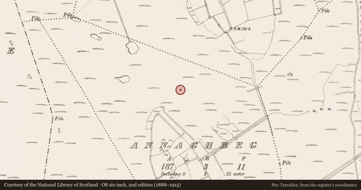 Ordnance Survey six-inch map, 2nd edition (1888–1915) covering the location of Road - class 3 togher, Annaghbeg, County Longford, with a pin at the register's coordinates