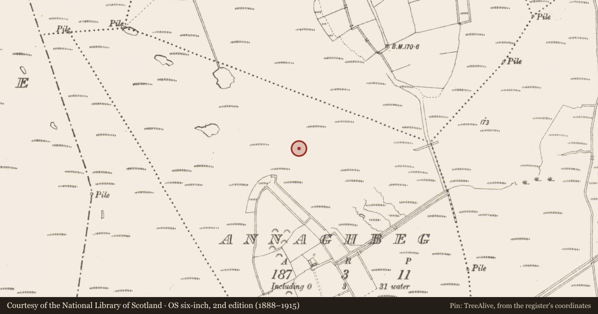 Ordnance Survey six-inch map, 2nd edition (1888–1915) covering the location of Road - class 3 togher, Annaghbeg, County Longford, with a pin at the register's coordinates