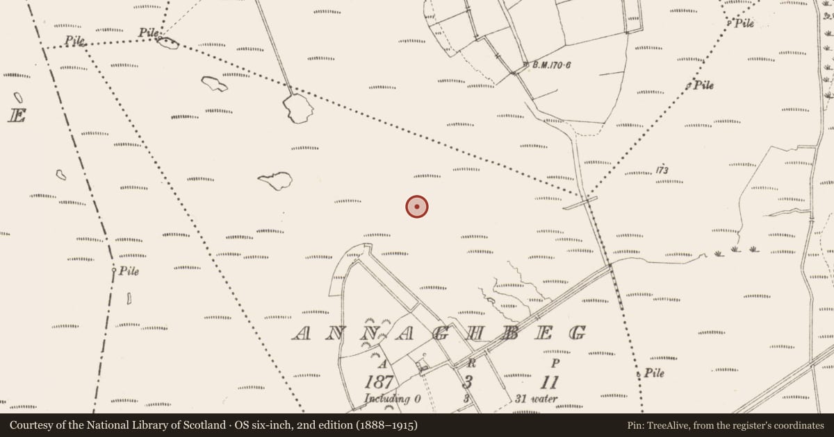 Ordnance Survey six-inch map, 2nd edition (1888–1915) covering the location of Road - class 3 togher, Annaghbeg, County Longford, with a pin at the register's coordinates
