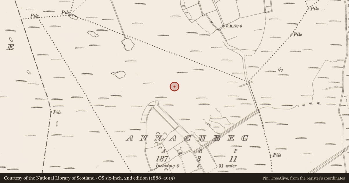 Ordnance Survey six-inch map, 2nd edition (1888–1915) covering the location of Road - class 3 togher, Annaghbeg, County Longford, with a pin at the register's coordinates