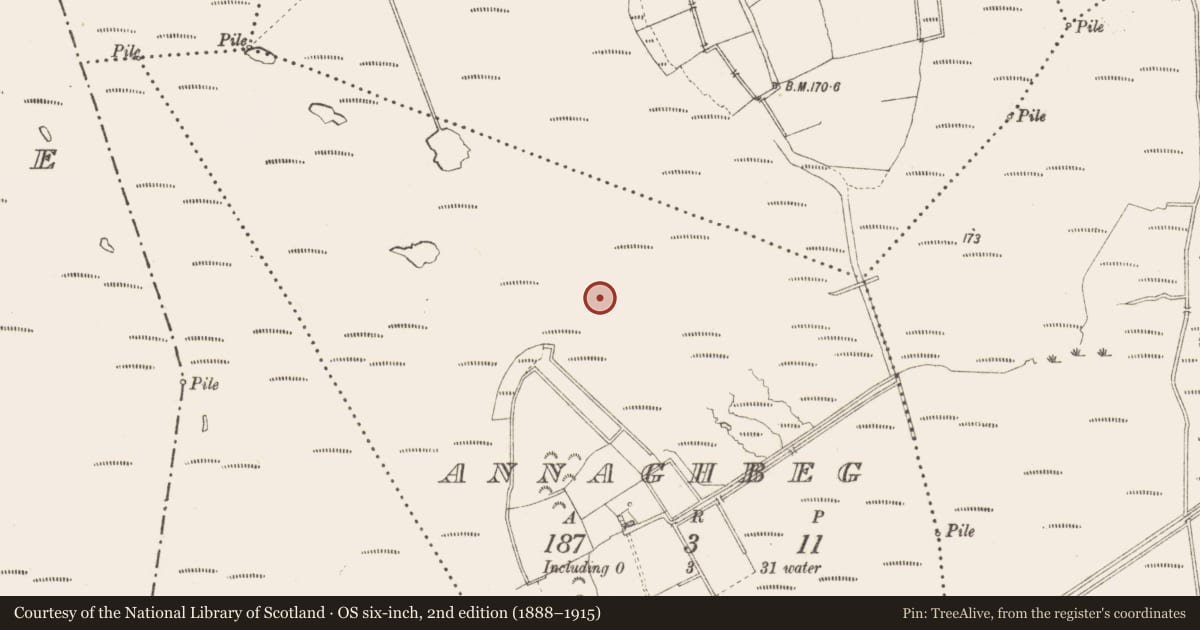Ordnance Survey six-inch map, 2nd edition (1888–1915) covering the location of Structure - peatland, Annaghbeg, County Longford, with a pin at the register's coordinates