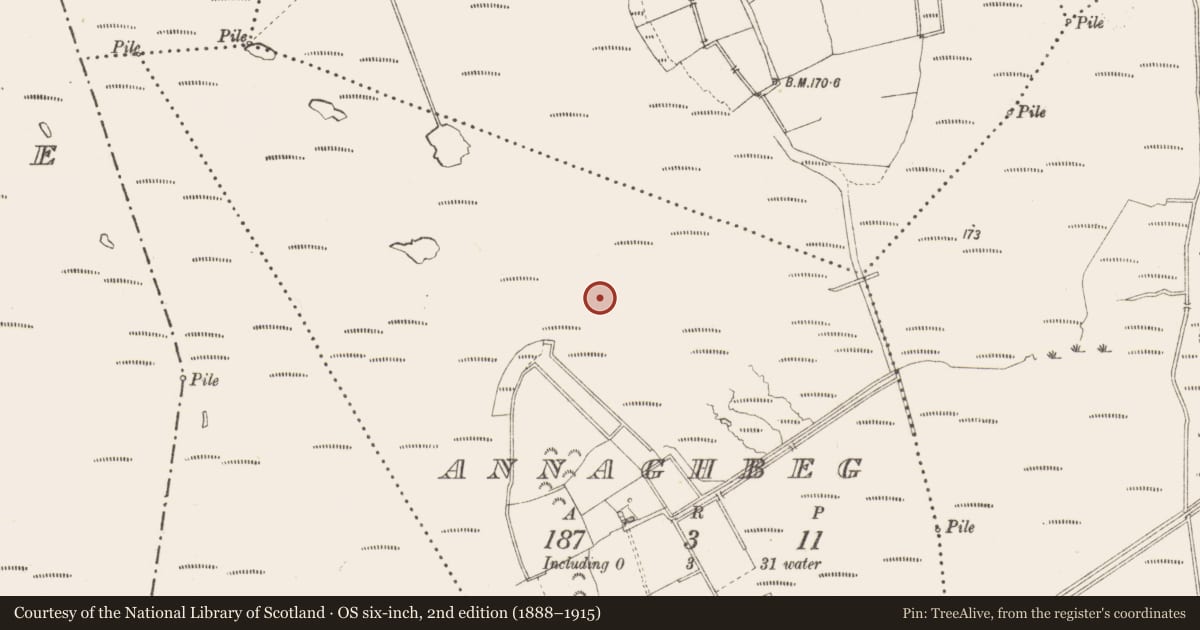 Ordnance Survey six-inch map, 2nd edition (1888–1915) covering the location of Road - class 3 togher, Annaghbeg, County Longford, with a pin at the register's coordinates