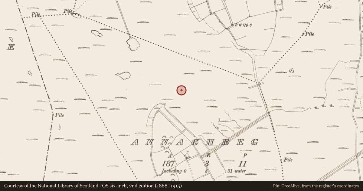 Ordnance Survey six-inch map, 2nd edition (1888–1915) covering the location of Road - class 3 togher, Annaghbeg, County Longford, with a pin at the register's coordinates