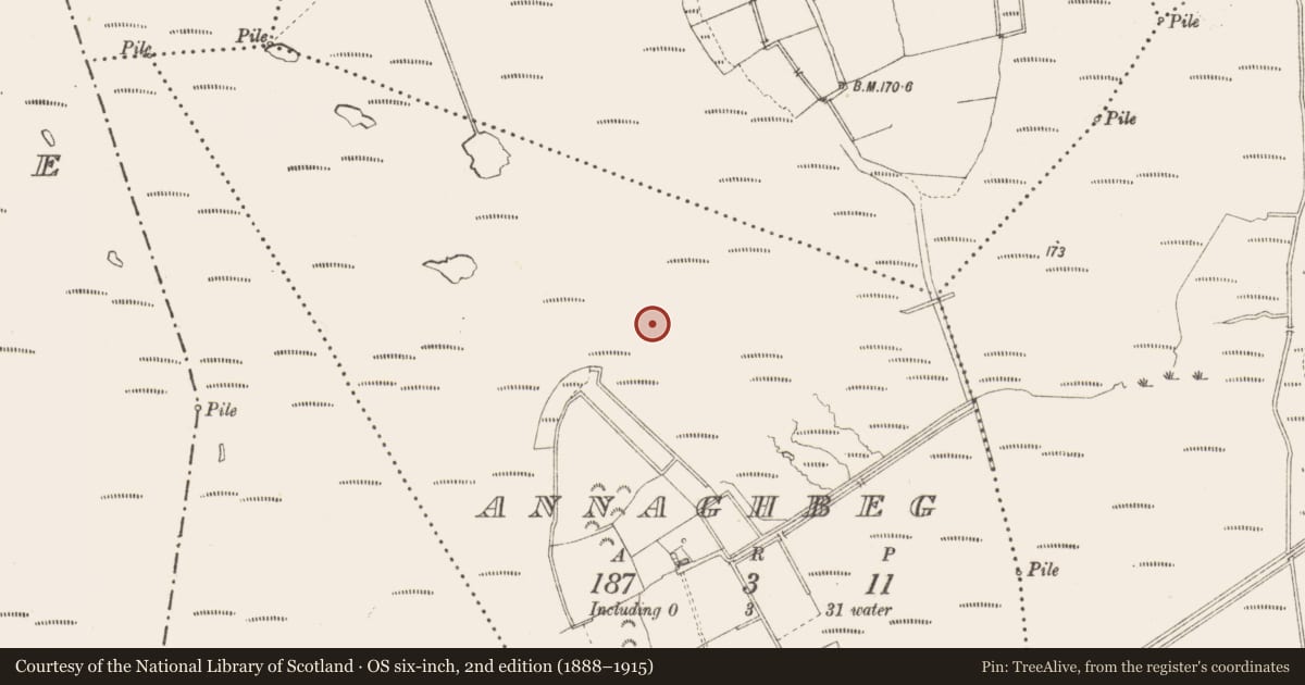 Ordnance Survey six-inch map, 2nd edition (1888–1915) covering the location of Road - class 3 togher, Annaghbeg, County Longford, with a pin at the register's coordinates