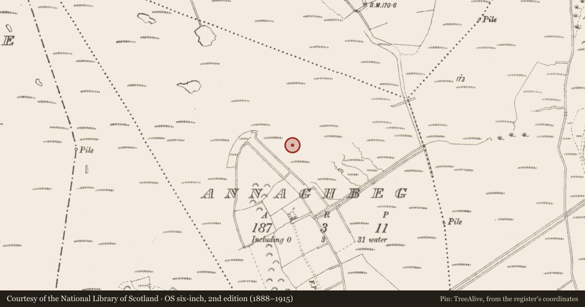 Ordnance Survey six-inch map, 2nd edition (1888–1915) covering the location of Road - class 3 togher, Annaghbeg, County Longford, with a pin at the register's coordinates
