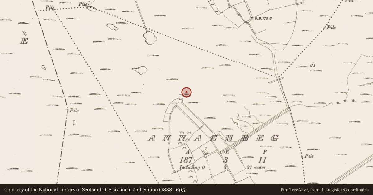 Ordnance Survey six-inch map, 2nd edition (1888–1915) covering the location of Structure - peatland, Annaghbeg, County Longford, with a pin at the register's coordinates