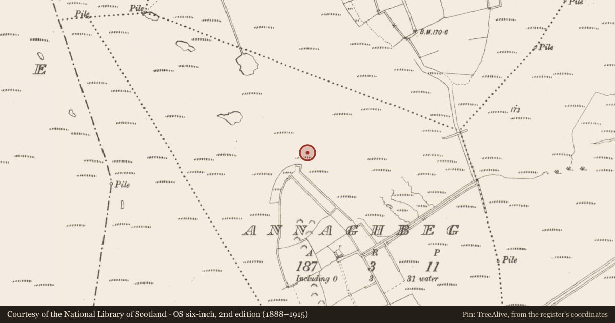 Ordnance Survey six-inch map, 2nd edition (1888–1915) covering the location of Structure - peatland, Annaghbeg, County Longford, with a pin at the register's coordinates
