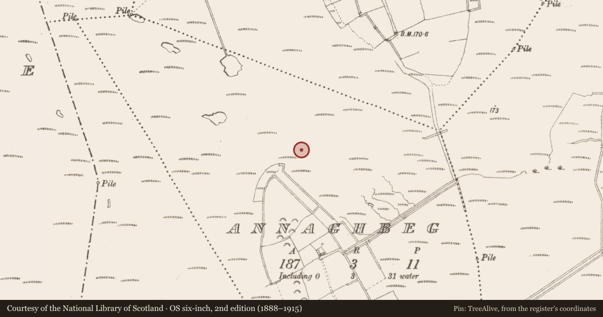 Ordnance Survey six-inch map, 2nd edition (1888–1915) covering the location of Road - class 3 togher, Annaghbeg, County Longford, with a pin at the register's coordinates