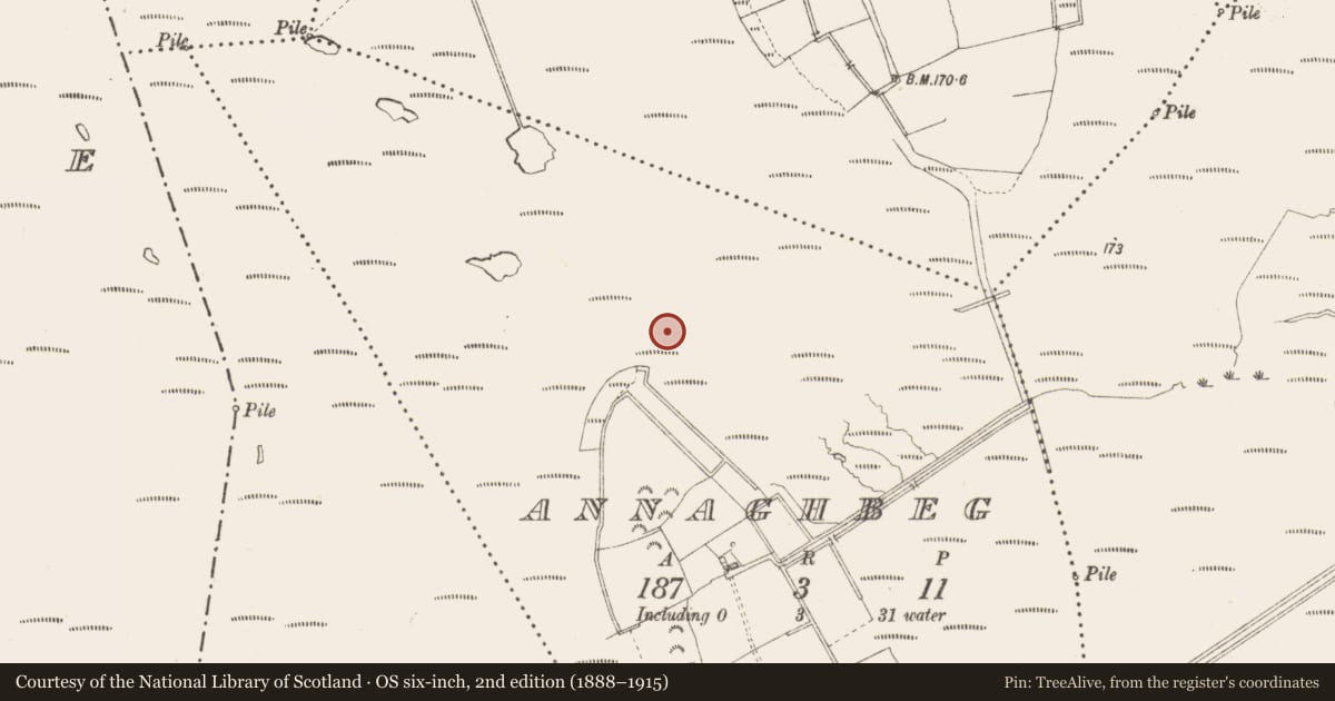Ordnance Survey six-inch map, 2nd edition (1888–1915) covering the location of Road - class 3 togher, Annaghbeg, County Longford, with a pin at the register's coordinates