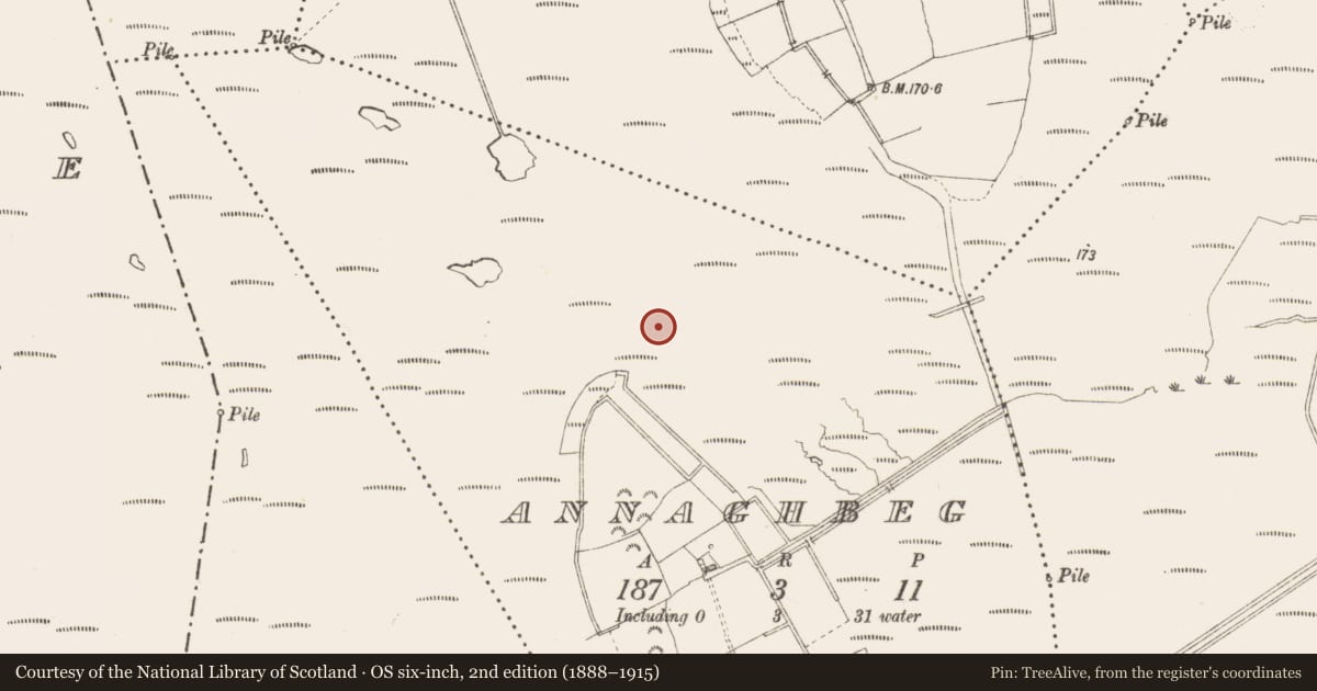 Ordnance Survey six-inch map, 2nd edition (1888–1915) covering the location of Structure - peatland, Annaghbeg, County Longford, with a pin at the register's coordinates